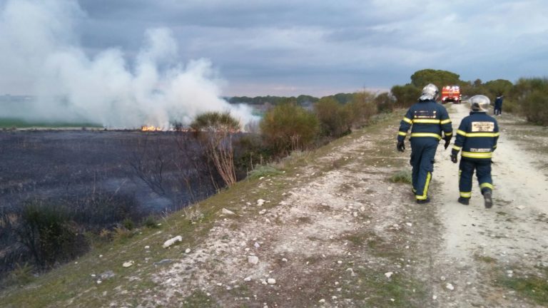 BOMBEROS INTERVIENE EN UN INCENDIO EN LA CARRETERA DE NUEVA JARILLA