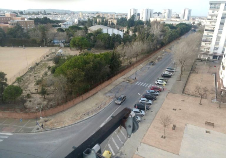 IU denuncia una nueva “tala masiva de árboles” en la Avenida Álvarez Beigbeder