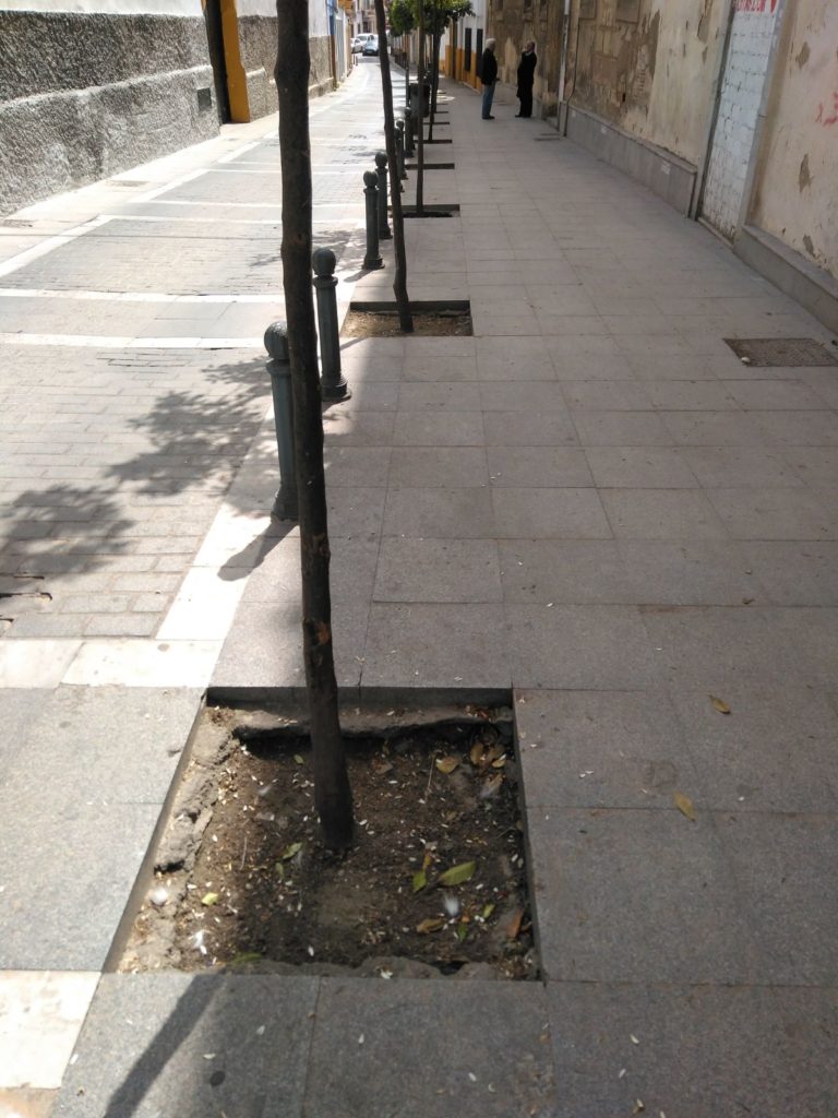 Pérez (Cs): “El gobierno local no trata al barrio de San Miguel como se merece”