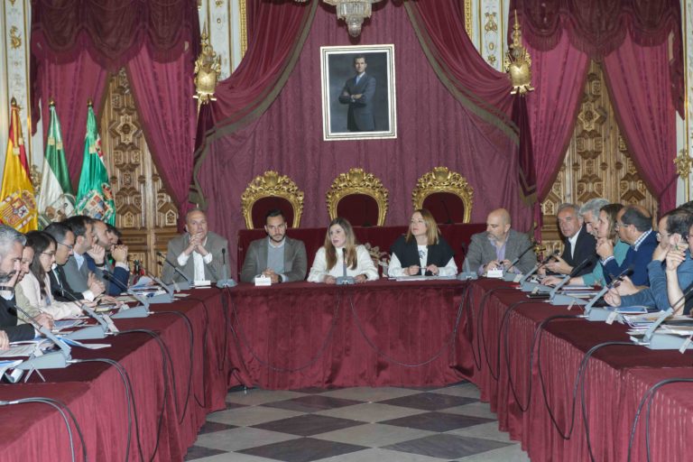 Decepción en Diputación  tras conocer que la Junta no prevé planes de empleo específicos para la provincia