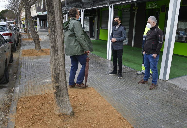 La renovación de acerados de la avenida de la Universidad mejorará su accesibilidad y el tránsito peatonal