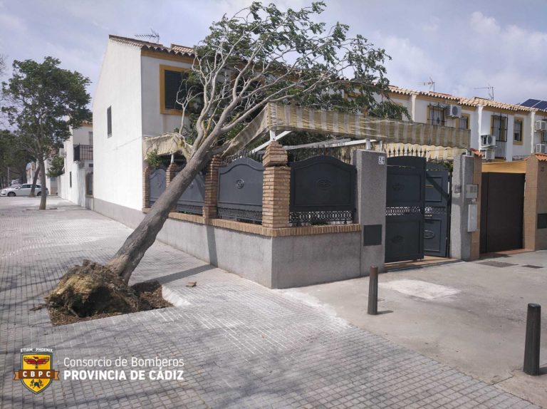 Los bomberos intervienen ante el fuerte viento de este fin de semana que afectó a viviendas y vehículos.