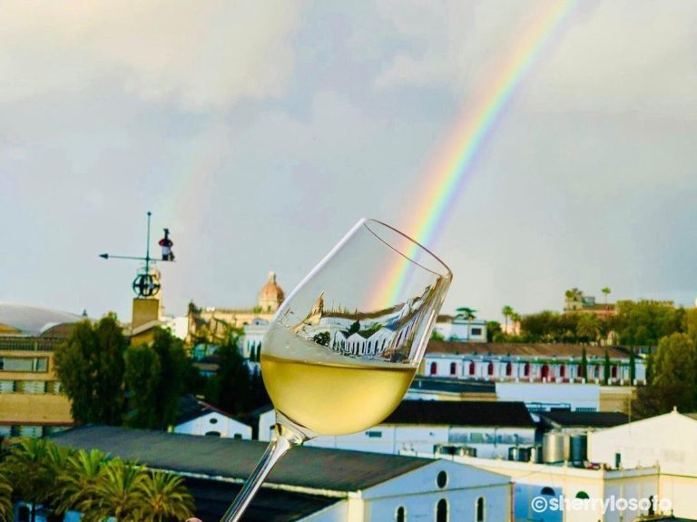 Ganadores deI Concurso de Fotografía Turística Destino Jerez, con motivo del Día Mundial del Turismo
