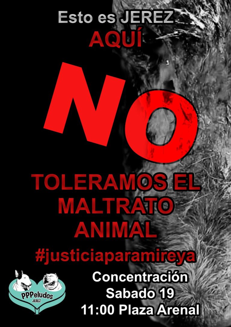 El PSOE de Jerez se suma a la concentración contra el maltrato animal.