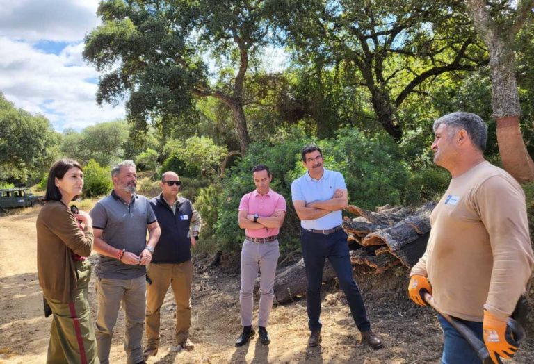 Ememsa comienza la campaña de saca de corcho en los Montes de Propio