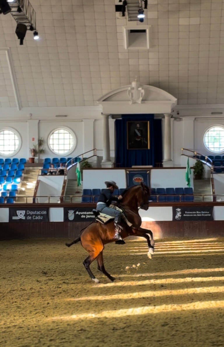 La Real Escuela acogió el XIX Campeonato de España de Menores de Doma Vaquera y el Concurso Nacional de Doma Vaquera de Caballos Jóvenes 